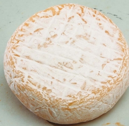 世界上的各种奶酪 - Abbaye de Chambarand