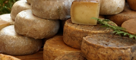 Discovering the terroir Corsican cheeses