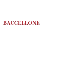 Cheeses of the world - Baccellone