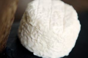 Cheeses of the world - Brebille
