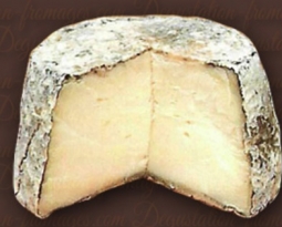Cheeses of the world - Bouca