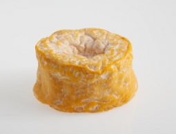 Cheeses of the world - Langres