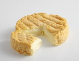 Cheeses of the world - Epoisses