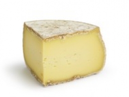 Cheeses of the world - Tomme de Chartreux