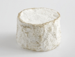 Cheeses of the world - Chaource