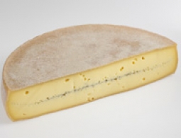 Cheeses of the world - Morbier