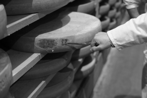 Guida del formaggio Discovering the terroir