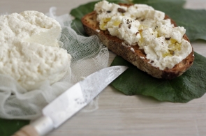 Fabrication and maturing of each type of cheese Fresh cheeses