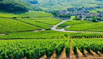 Les fromages par région Le fromage de Bourgogne