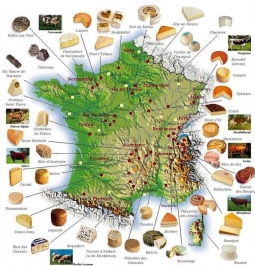 En 2017, Androuet s'offre 5 caves d'affinage et lance sa collection. -  Histoire d'un grand nom du fromage français