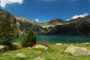 Les fromages par région Le fromage des Pyrénées