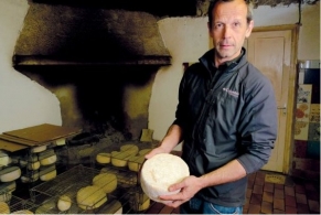 Nuestros productores  - La tomme Corse de Jean-José Marcellesi