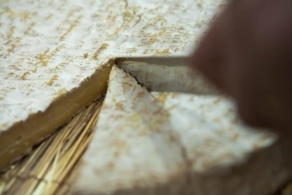 A guide to cheese Stories and legends of some well-known cheeses