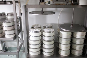 The main principles of cheese-making Draining the cheese