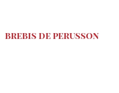 世界上的各种奶酪 - Brebis de Perusson