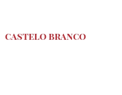  世界のチーズ - Castelo Branco