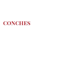 أجبان العالم - Conches