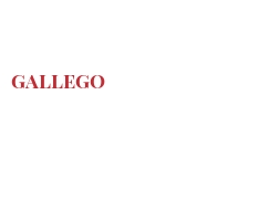दुनिया भर के चीज - Gallego