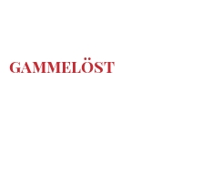 世界上的各种奶酪 - Gammelöst