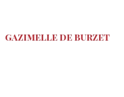 世界上的各种奶酪 - Gazimelle de Burzet