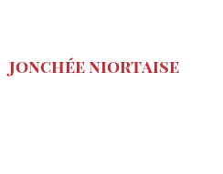  世界のチーズ - Jonchée Niortaise