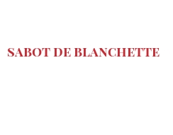 Käse aus aller Welt - Sabot de Blanchette