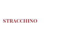 世界上的各种奶酪 - Stracchino