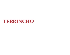 Cheeses of the world - Terrincho