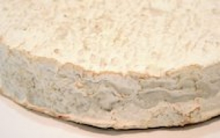 Fromages du monde - Brie de Montereau