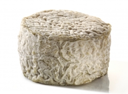 Fromages du monde - Lochois