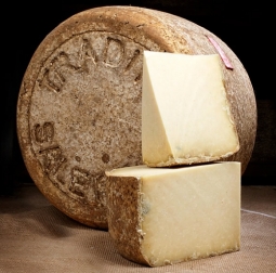 Fromages du monde - Salers