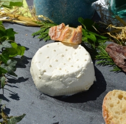 Fromages du monde - Caillade 