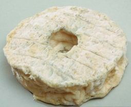 Cheeses of the world - Anneau de Vic-Bilh