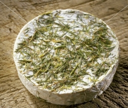 Cheeses of the world - Bondaroy