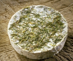 Fromages du monde - Bondaroy