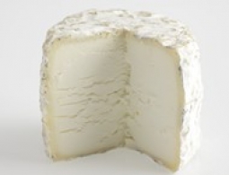 Cheeses of the world - Racotin