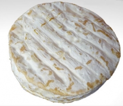 Cheeses of the world - Brebis de la Cavalerie
