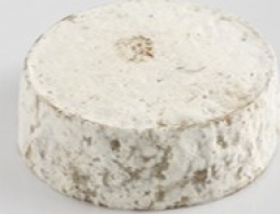 Cheeses of the world - Tome des Bauges