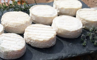 Cheeses of the world - Pélardon