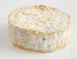 Fromages du monde - Abbaye de la Pierre-qui-Vire