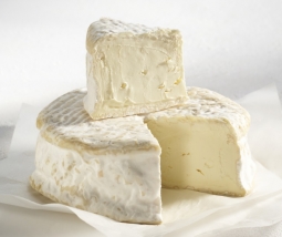 Cheeses of the world - Excelsior