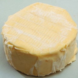 Käse aus aller Welt - La Bouille