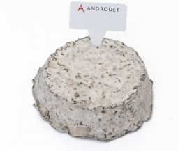 Cheeses of the world - Selles-sur-Cher 