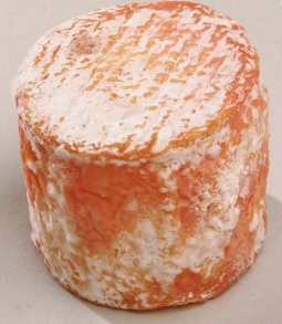 Cheeses of the world - Tarentais de chèvre