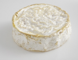 Fromages du monde - Coulommiers