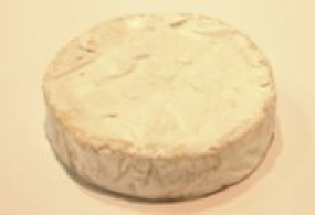 Cheeses of the world - Bougon