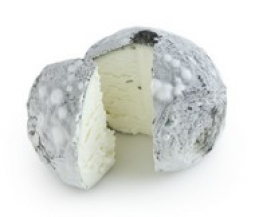 Cheeses of the world - Wabash Cannonball