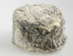 Cheeses of the world - Bonde de Sologne
