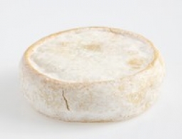 Cheeses of the world - Chevrotin