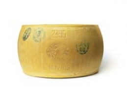 世界上的各种奶酪 - Parmesan Reggiano ou Parmigiano Reggiano